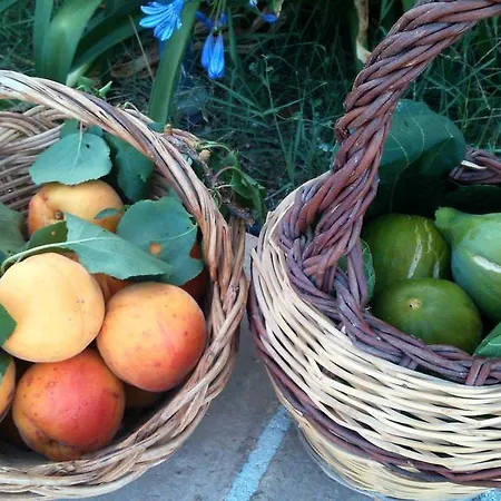 Vico Vacanze Bed & Breakfast 4*