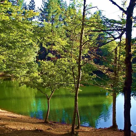 Vico Vacanze Bed & Breakfast Vico Del Gargano