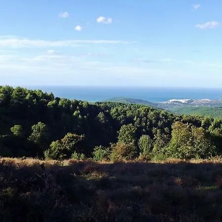 Vico Vacanze Bed & Breakfast