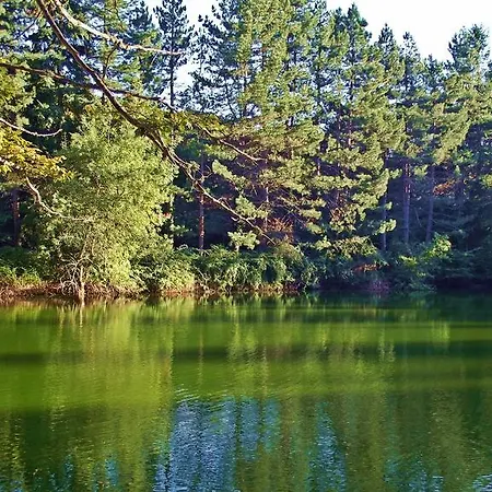 Vico Vacanze Bed & Breakfast Vico Del Gargano