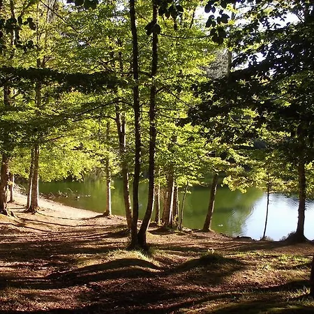 Bed & Breakfast Vico Vacanze 4*