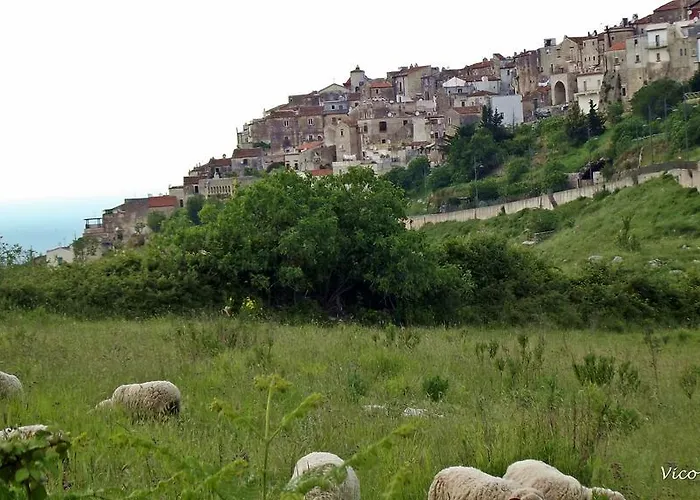 Vico Vacanze 4*
