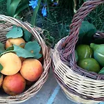 Vico Vacanze Alojamento de Acomodação e Pequeno-almoço 4*