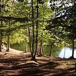 Alojamento de Acomodação e Pequeno-almoço Vico Vacanze 4*