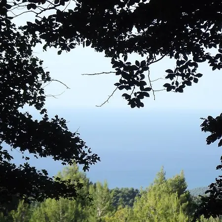 Vico Vacanze 4*