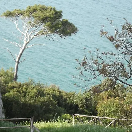 Vico Vacanze 4* ויקו דל גרגאנו