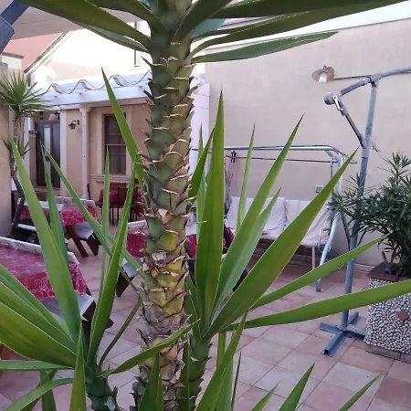 לינה וארוחת בוקר Vico Vacanze